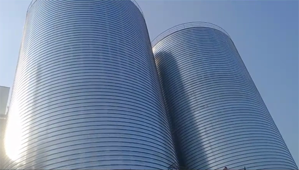 丹徒2座混凝土高架卷板仓